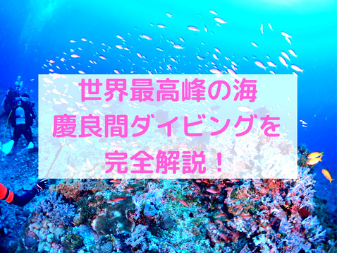 慶良間ってどんなところ 世界最高峰の海 慶良間で