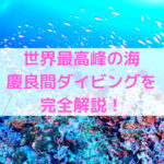 慶良間ってどんなところ？？世界最高峰の海、慶良間でダイビングしたい！