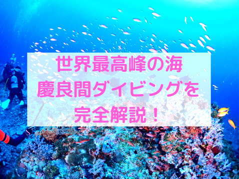 慶良間ってどんなところ？？世界最高峰の海、慶良間でダイビングしたい！