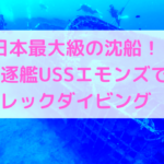水深45mの海底に眠るアメリカ駆逐艦、USSエモンズでダイビング!