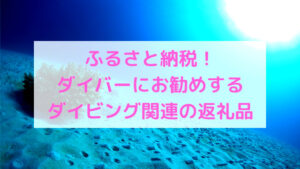 ダイバーにお勧めのふるさと納税！今年買っておきたい納税先は？