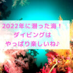 2022年に潜った海を総括！2023年もよろしくお願いします♪