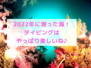 2022年に潜った海を総括！2023年もよろしくお願いします♪
