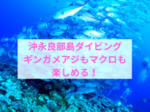 沖永良部島でダイビング～ギンガメアジのトルネード～
